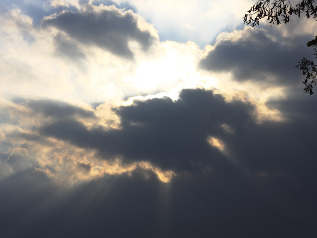 Sun rays|Canon 40D, EF50mm f/1.8 II, 1/160s, f22, ISO 100