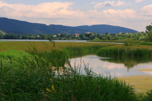 Sight from "Lunca-Bistritei"